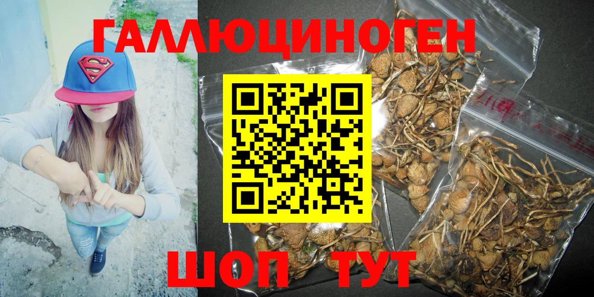 Галлюциногенные грибы Psilocybe  хочу наркоту  Вход с VPN  Кумертау  Псилоцибиновые грибы прущие грибы 
